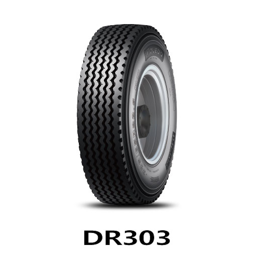 DR303